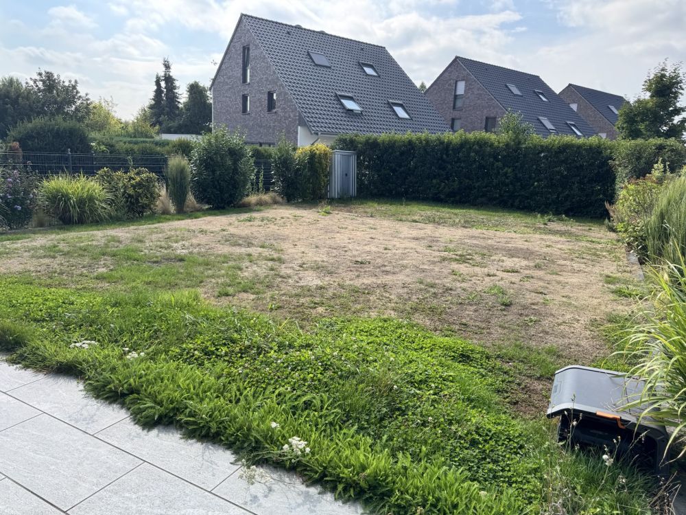 Garten mit Kahlstellen im Rasen vor der Gestaltung